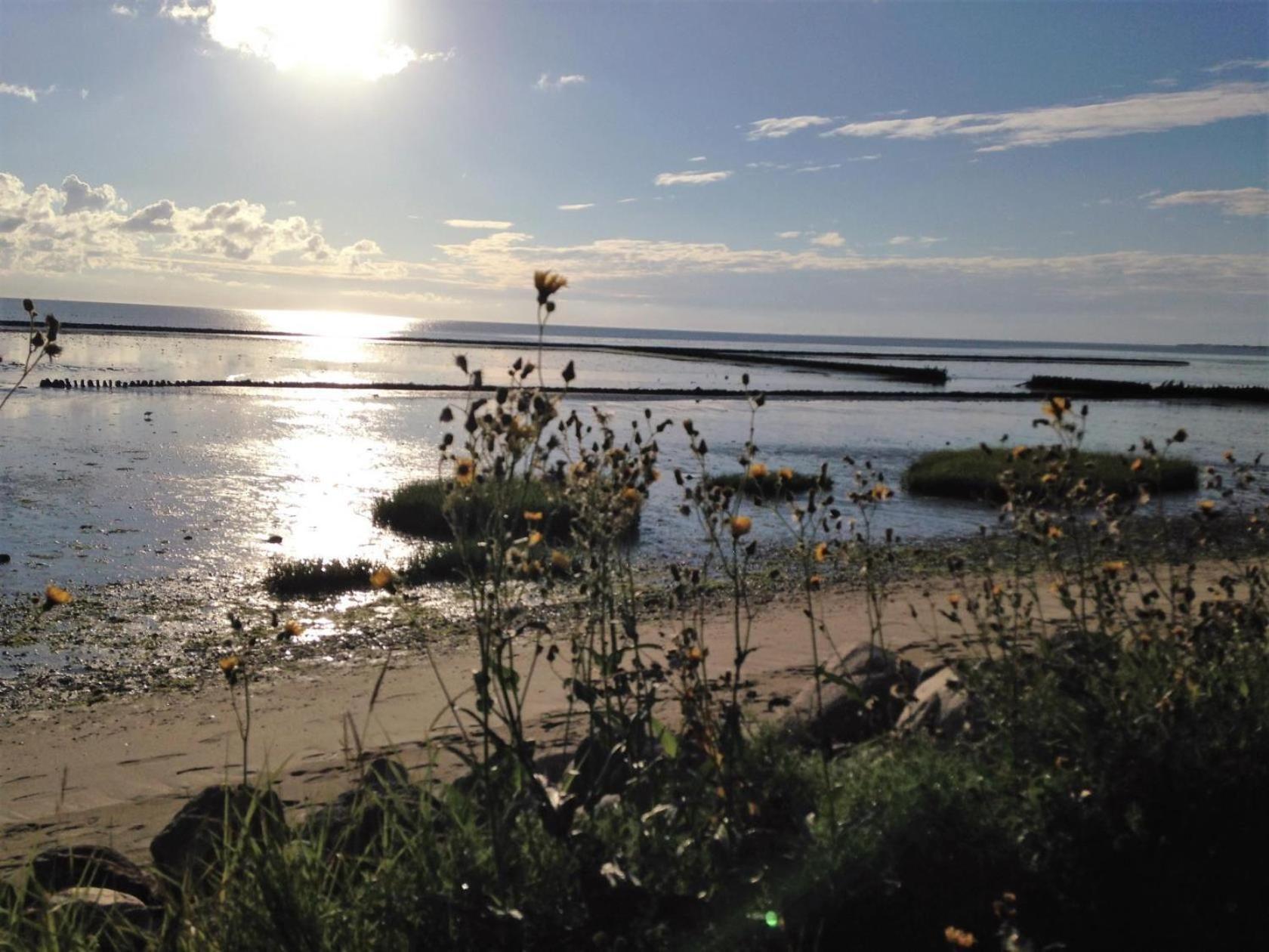 App-eidum-01 * Westerland